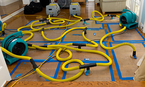 Professional Crawl Space Water Removal technician working in Owensville, OH